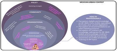 Healthcare professionals and commercial milk formula recommendations in the urban Mexican context